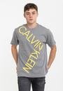  Calvin Klein Bold Logo Relax Erkek T-Shirt